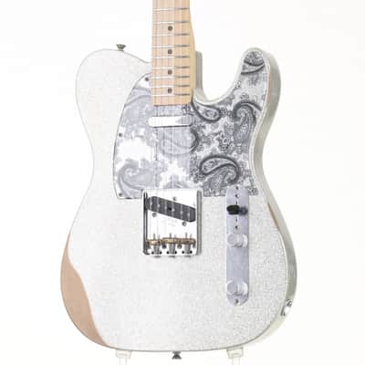 FENDER MEXICO Artist Series Brad Paisley Road Worn Telecaster SLV SPKL [MX17904894] (08/19) image 7