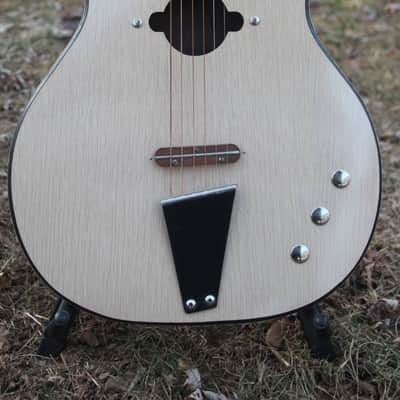 1964 Danelectro Convertible/Acoustic image 1