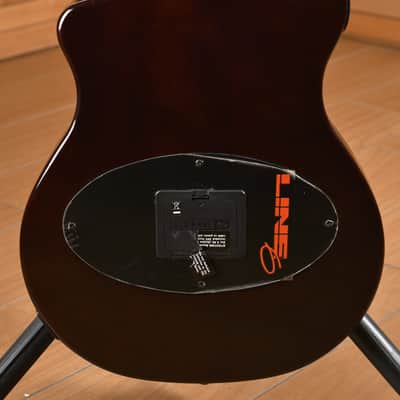 Line 6 Variax Acoustic 300 Series image 17