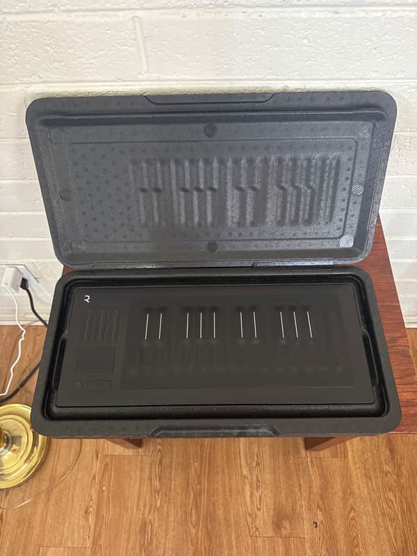 ROLI Seaboard RISE 25 2010s - Black image 1