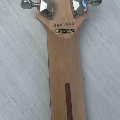 Roland GTM GC-10 with Factory Internal Roland GK-2A midi guitar controller image 4