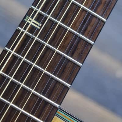 Washburn D46S12 Southwestern Series 12-String Acoustic Guitar w/Case #G05070031 image 9
