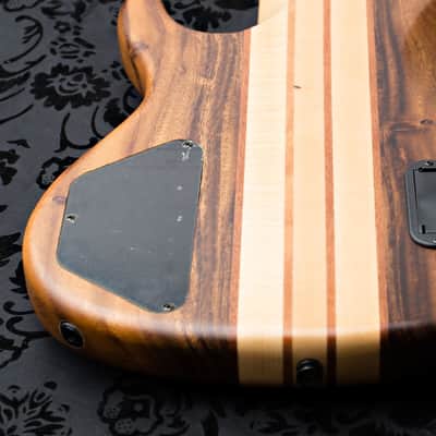 Wolf 5 String Bass Walnut image 15