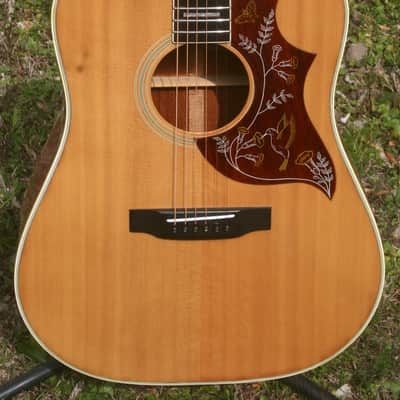 1976 Jagard Hummingbird Model GB-300HN MIJ by Terada Gakki+Hard Case image 2