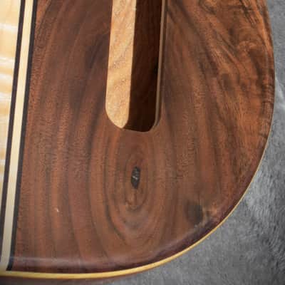 Babik Custom Telecaster Style body, Long board style, Walnut on wormy Butternut , Light weight, Handmade 2026 image 6