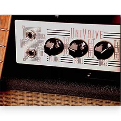 THD, UniValve Class A amp, w/ switchable power tubes image 6
