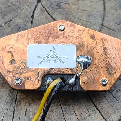 Fender Custom Shop Texas Special Telecaster Bridge Pickup 2020 image 5