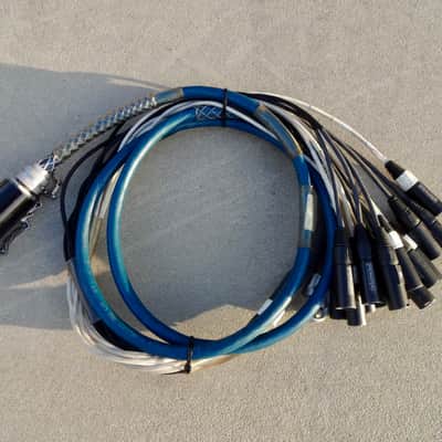 Whirlwind W-2 Fanout 16 Male XLR 2000 Blue image 1