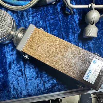 Immagine Blue Cactus Multi-Pattern Tube Condenser Mic - Sounds Amazing! - 2