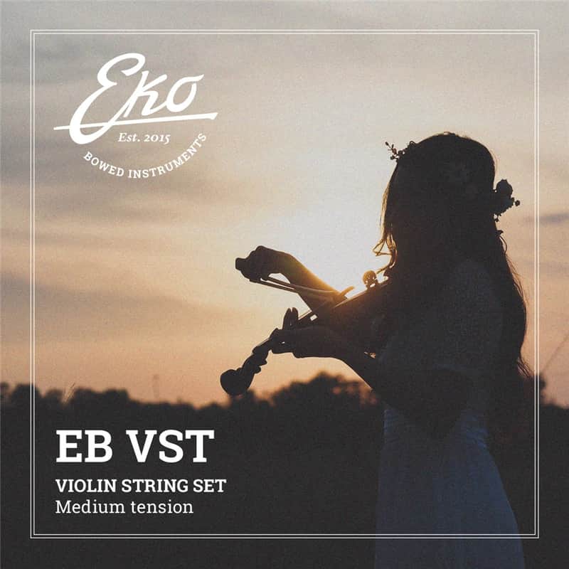 Eko Bowed Instruments EB VST image 1