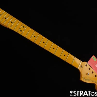 Fender American Professional II Tele Deluxe NECK, Deep image 2