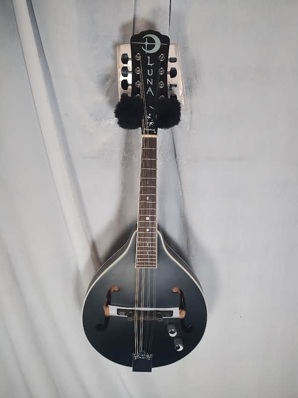 Luna BGM MOON A Moonbird A-Style Mandolin with Electronics 2010s - Black image 1