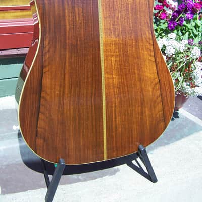 Martin D-28 1944 - Burst image 4