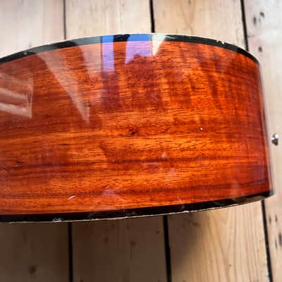 Kay K 550 70s 6 String Acoustic Guitar Body Made By Eko in Italy image 16