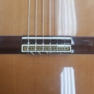 2006 Cordoba Custom Artist Cedar and Madagascar Rosewood Classical Guitar image 5