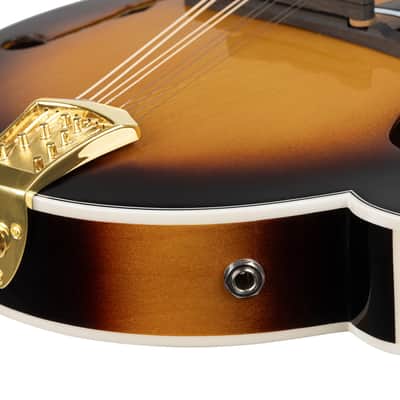 Ortega RMFE90TS F-Style Series Solid Spruce Top Maple Neck 8-String Acoustic-Electric Mandolin w/Deluxe Gig Bag image 12