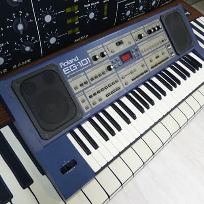 Roland EG-101 just serviced image 2