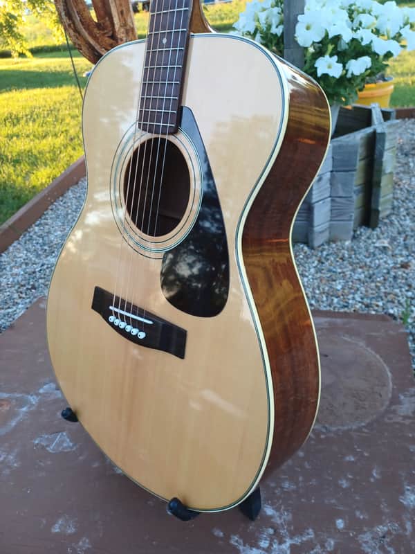 Yamaha FG 331 1979 - nat. image 1