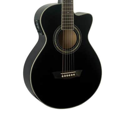 Washburn EA10B-A Acoustic Guitar image 1