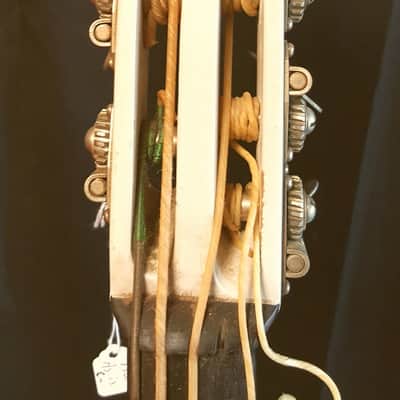 Ampeg BB-5 5 String Baby Bass 60's White image 5