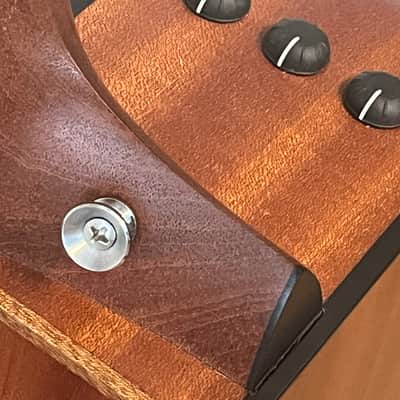 Taylor 110CE with Taylor Expression System Factory Installed and Padded Protective Gig Bag image 7