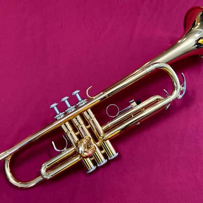 Yamaha YTR-636 Trumpet - Brushed with Gold Epoxy Lacquer Finish