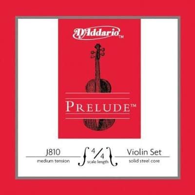 DZ Strad Violin - Model 100 with Solid Wood with Case, Bow, and Rosin image 4