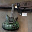 Owned By Orianthi! 2017 PRS SE Swamp Ash CE 24 Limited Edition Sandblasted Green Signed By Alice Cooper & Orianthi + OGB