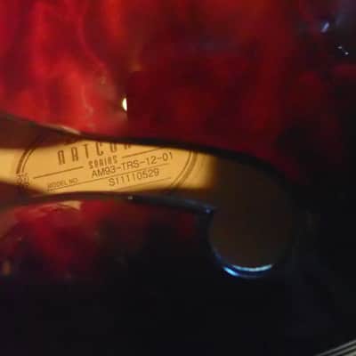 Ibanez AM93-TRS-12-01 2010s - Transparent Red image 14