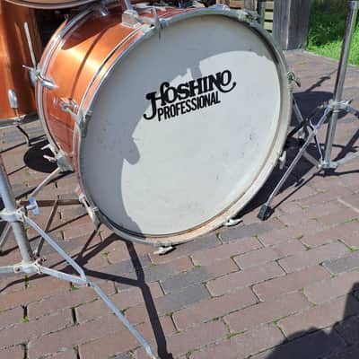 Hoshino Professional - Vintage image 6