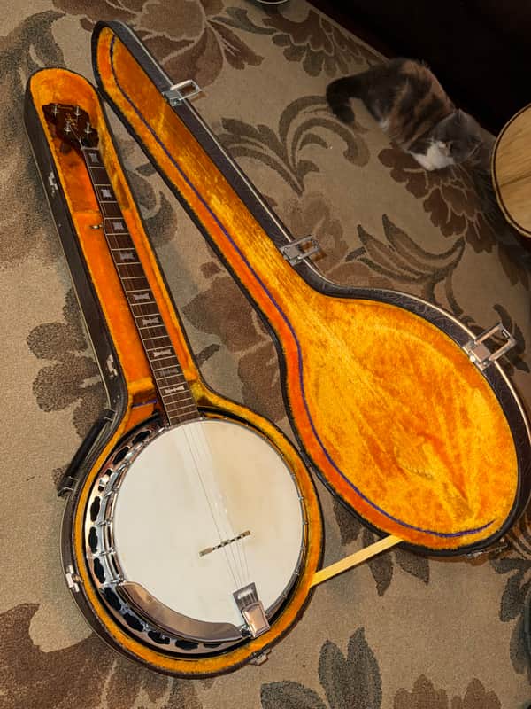 Vintage 1970s Alvarez 5 string Banjo MIJ Japan - beautiful | Reverb