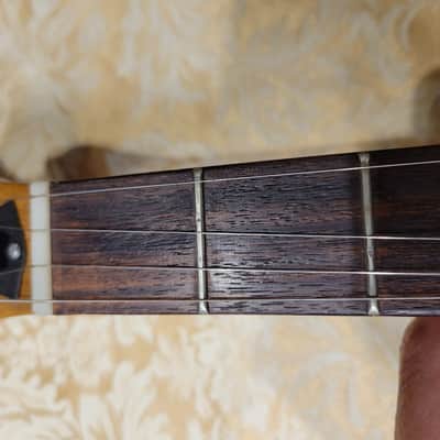 Deering 'Intermediate' Model 5-string Banjo, (Precursor to the 'Boston' model) c-1980 w/ Hardshell Case image 17