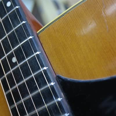 Eko Ranger VI Electroacoustic (Hard Case included) image 21