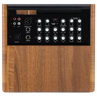 Prodipe Natural 5 V2 Walnut Wood Acoustic Amp image 2