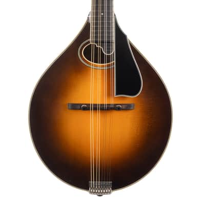 Used Northfield NFMSP-A4 Mandolin Sunburst 2023 image 1