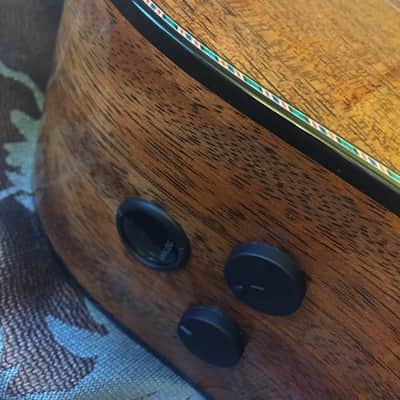 Martin GPC15M 2015 Dark Mahogany--Custom Shop 1 of 100 image 3