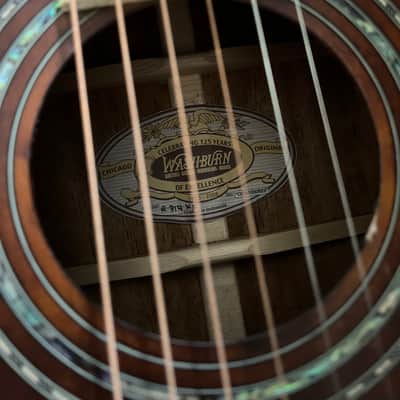Washburn R314KK with stainless steel frets image 4