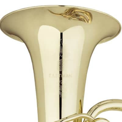 Eastman EBF863 Professional 4-Piston 4/4 F Tuba in Lacquer image 2