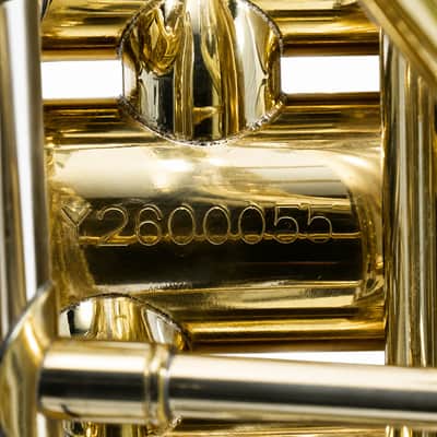 Eastman EBB534 Professional BBb 4/4 Tuba in Clear Lacquer SN Y2600055 image 18