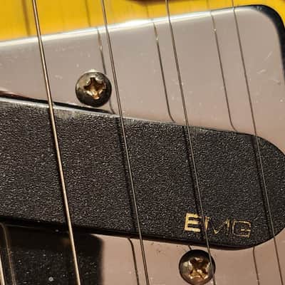 PRINCE Owned and Used Fender Thinline Telecaster with Paisley Park Document. image 12