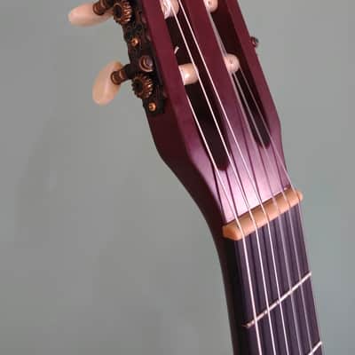 Godin Multiac Grand Concert SA image 5
