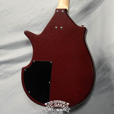 JERRY JONES GUITARS Electric Sitar image 9