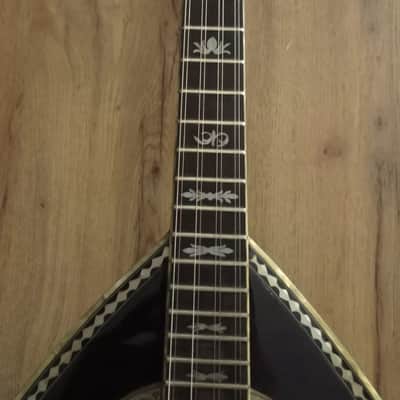 Greek Bouzouki & hardcase & pickup & 300 backing track with pdf scores 8 string image 5