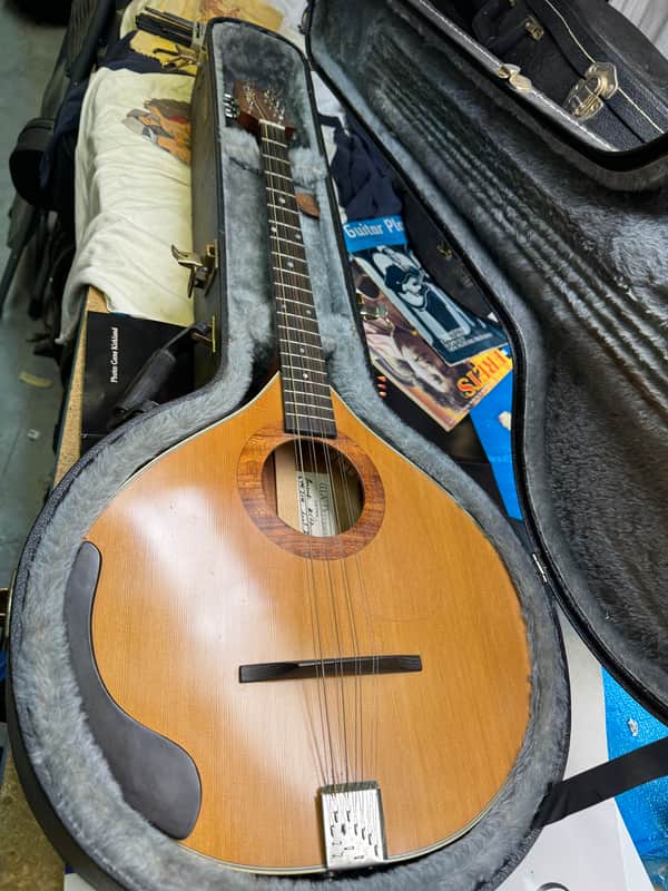 Peterson BOUZOUKI Level 2 2000 - Natural #SR-11-46 image 1