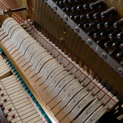 1981 Yamaha P202 image 7