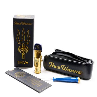 Theo Wanne SHIVA4 Gold 7 Alto Saxophone Mouthpiece image 3