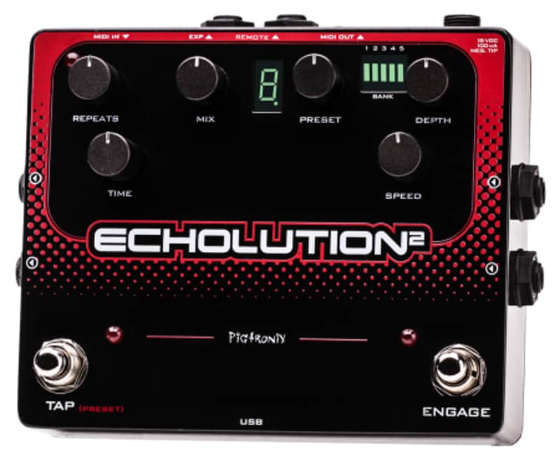 Pigtronix Echolution 2 Delay | Reverb