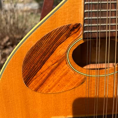 Trinity College Mandola lefty conversion 2010-2015 - Natural image 5