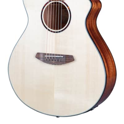 Breedlove Discovery S Concert CE European-African mahogany image 2