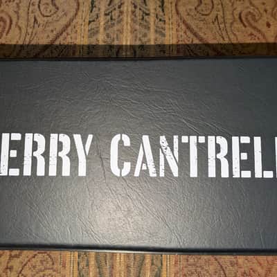 Epiphone Epiphone Jerry Cantrell Wino Les Paul Case - Black image 2